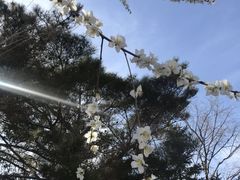-东方华地城湿地温泉度假区