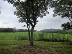 -长兴太湖图影湿地文化园