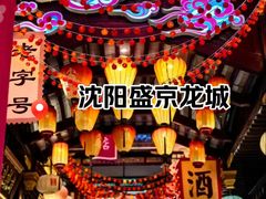 -中街·盛京龙城