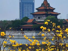 -顺峰山公园