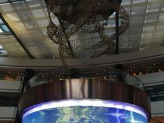 -OPEN開全日自助餐厅·牛肉火锅·海鲜(佛山希尔顿酒店)