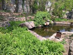 -云峰山自然风景区