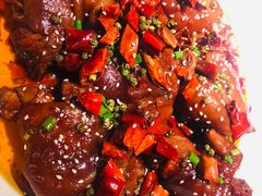 香辣美容蹄-雲蜀龙阁·金牌水煮鱼(方庄店)