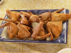 -百利鸽王(紫薇路店)