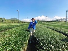 -雪绿茶博物馆