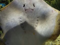 -福州罗源湾海洋世界旅游区