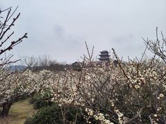 -南京市无想山景区