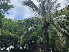 -深圳湾公园(南山区)