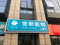 -谐和贝康宠物医院24小时·宠保定点(急重症转诊中心)