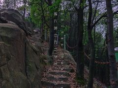 -南山植物园