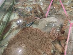 -中百仓储(新洲购物广场店)