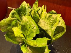 -葛记红焖羊肉(和平路形象店)