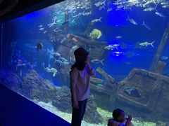 -江和美海洋公园