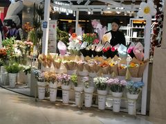 -吾悦广场(天津和平店)