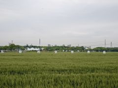 -嘉北郊野公园