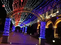 -九鼎轩火锅大排挡