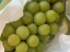 -马陆小张葡萄园农家乐