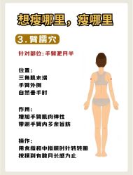 -Fundi张玉珊修身堂·indiba·BTL科技瘦身