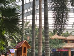 -国信南山温泉