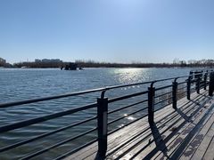 -大兴滨河森林公园