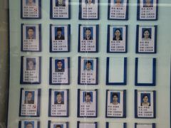 所有医生信息-上海市杨浦区牙病防治所