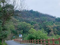 -杭州半山国家森林公园