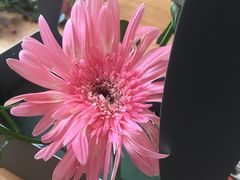 -森野花艺培训·企业团建活动沙龙