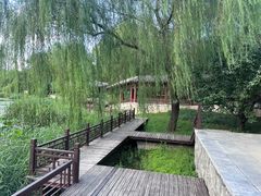 -北坞公园