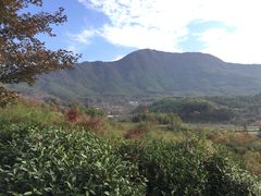 -塔川景区