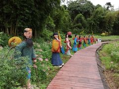 -广州市石门国家森林公园