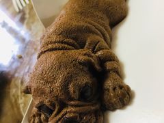 -吉美诺烘焙(公园北路店)