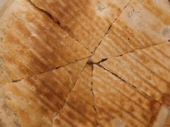 -四姑娘山阿巴郎·藏式花园餐厅