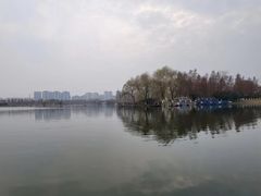 -洋湖国家湿地公园