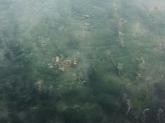 -百脉泉景区
