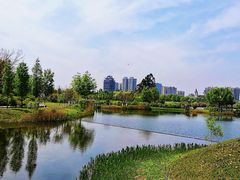 -眉山湿地公园(东坡区)