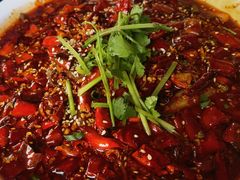 -肖四女乐山跷脚牛肉(世博源店)
