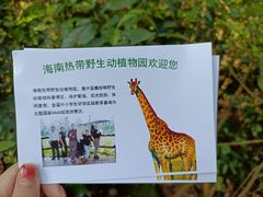 -海南热带野生动植物园