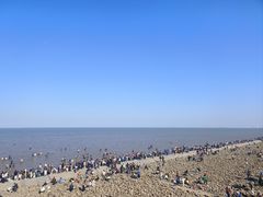 -天津东疆湾沙滩景区