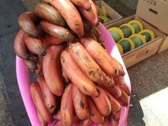 -三亚新鸿港水果一级批发市场