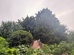 -乌山风景区