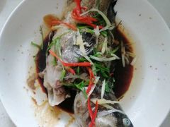 -大班家政月嫂育儿嫂(深圳NO.1店)