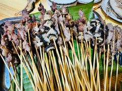 -杨合林啊兰烤鱼