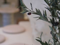 -伊斯坦布尔土耳其清真咖啡餐厅