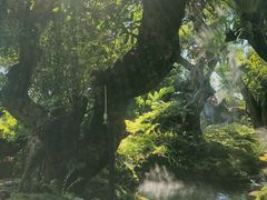 -Chom Cafe and Restaurant