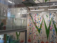 -绿壁虎攀岩基地(Tcar店)