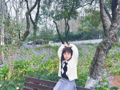 -杭州开元森泊度假乐园