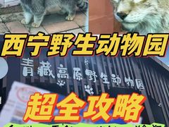 -青藏高原野生动物园