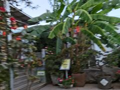 -瑞丰园庭院餐厅·白族传统家常菜