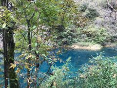 -叠溪松坪沟景区
