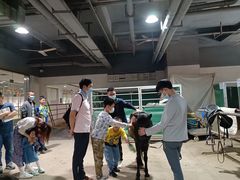 -李振强马术运动推广中心(南城店)